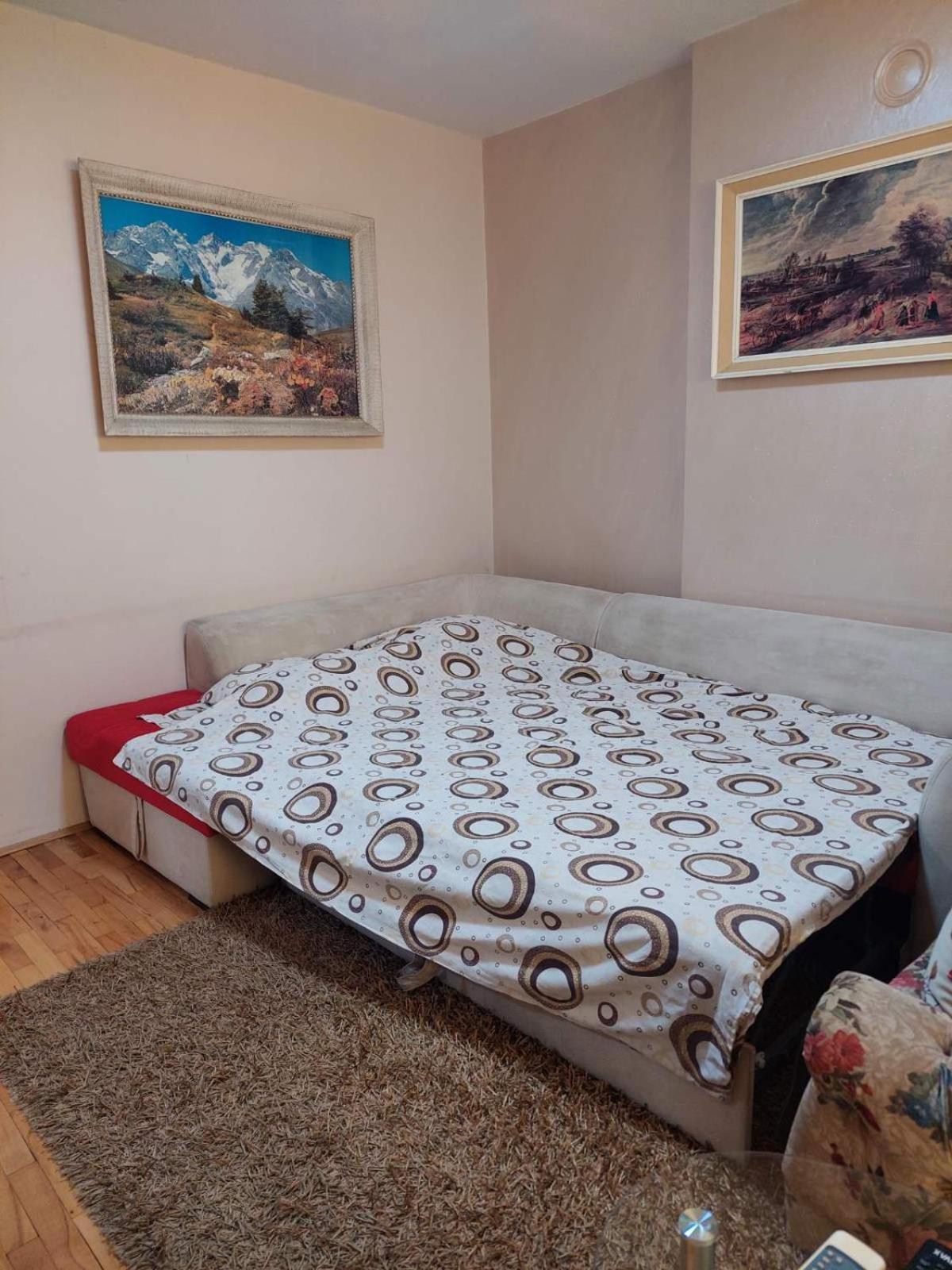Apartment Vuk Podgorica Kültér fotó